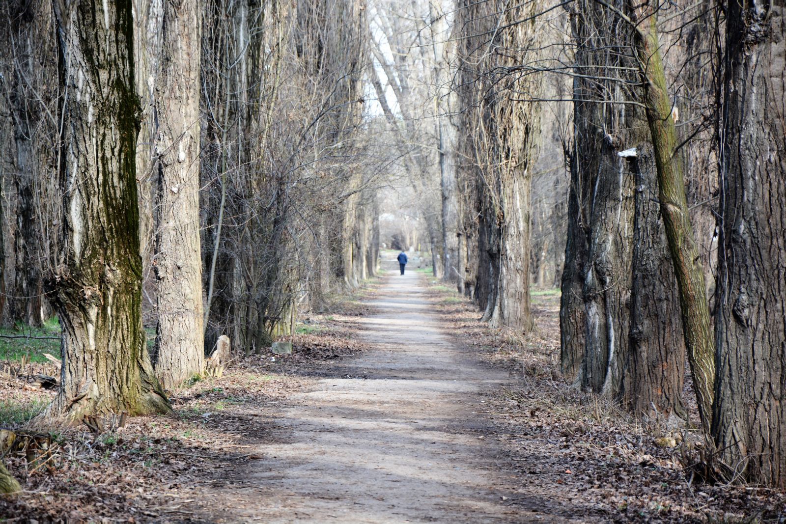 парк им гагарина симферополь